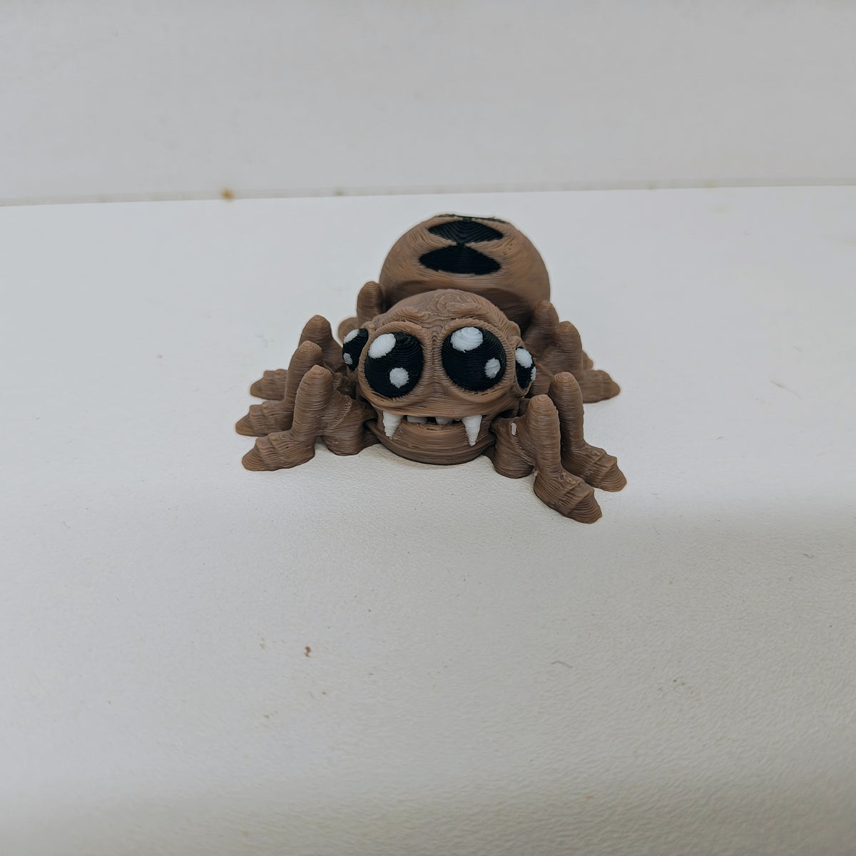 Spider