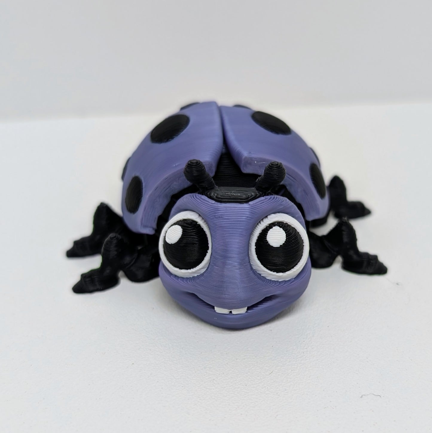 Ladybug