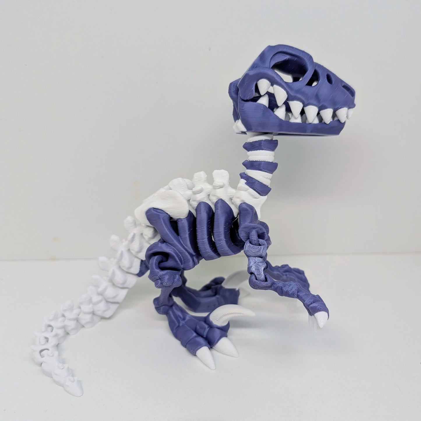 Raptor