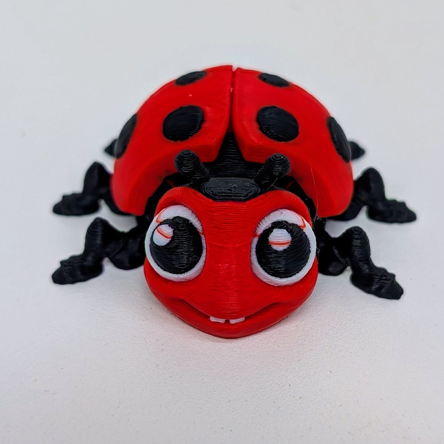 Ladybug