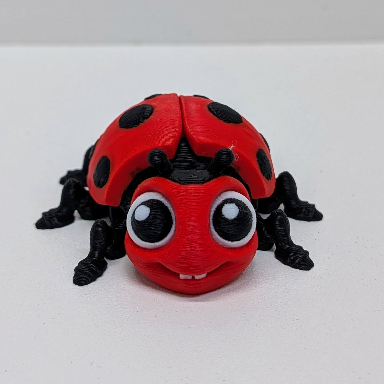 Ladybug