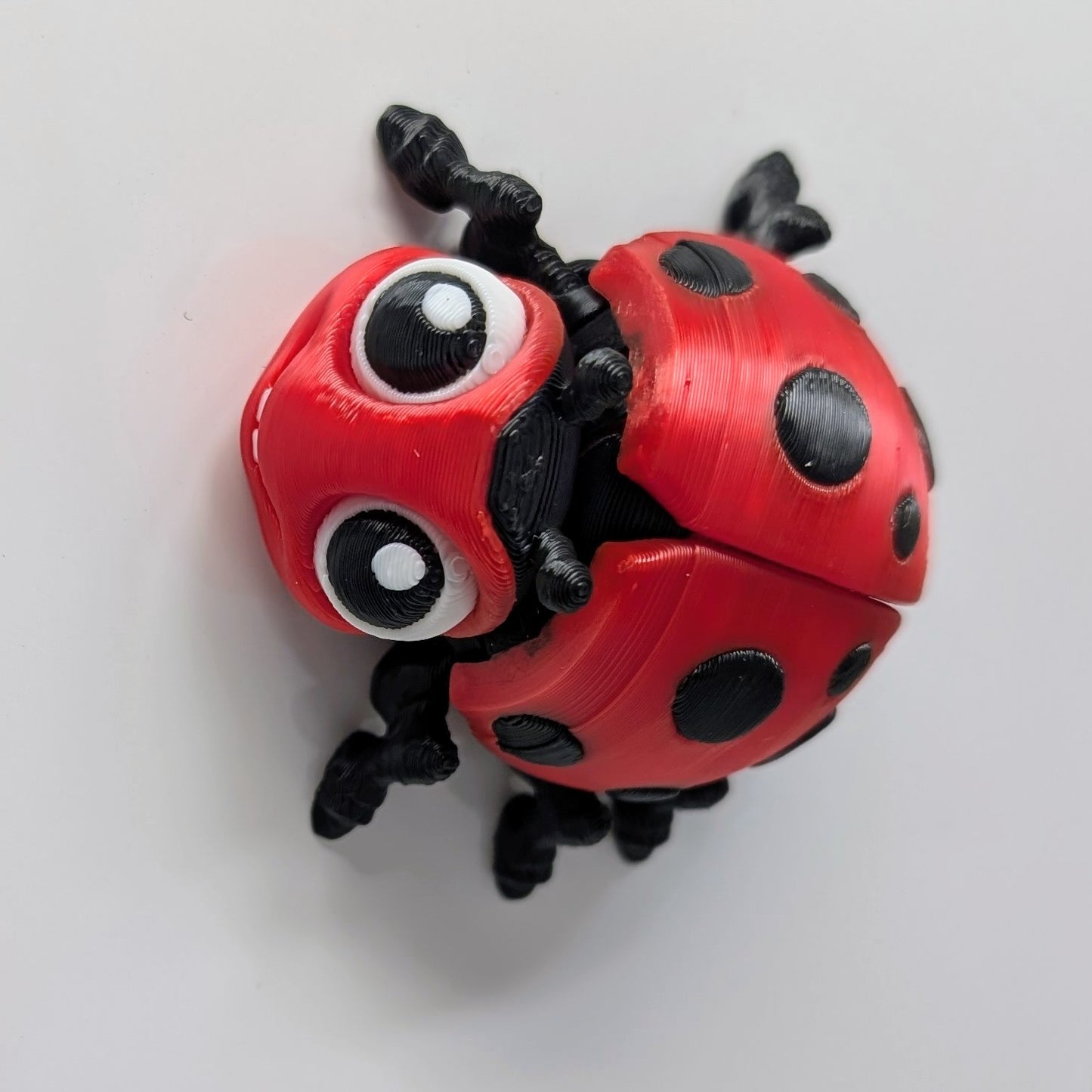 Ladybug Magnet