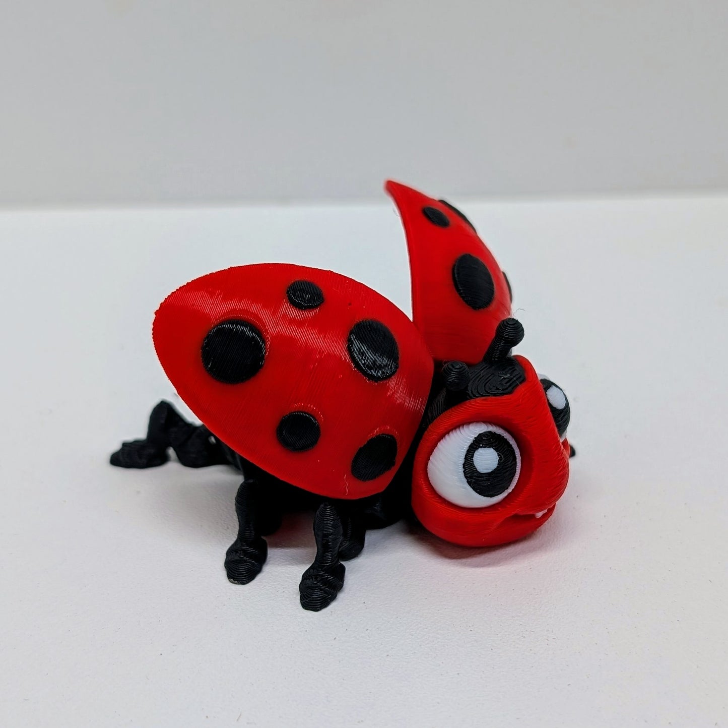 Ladybug