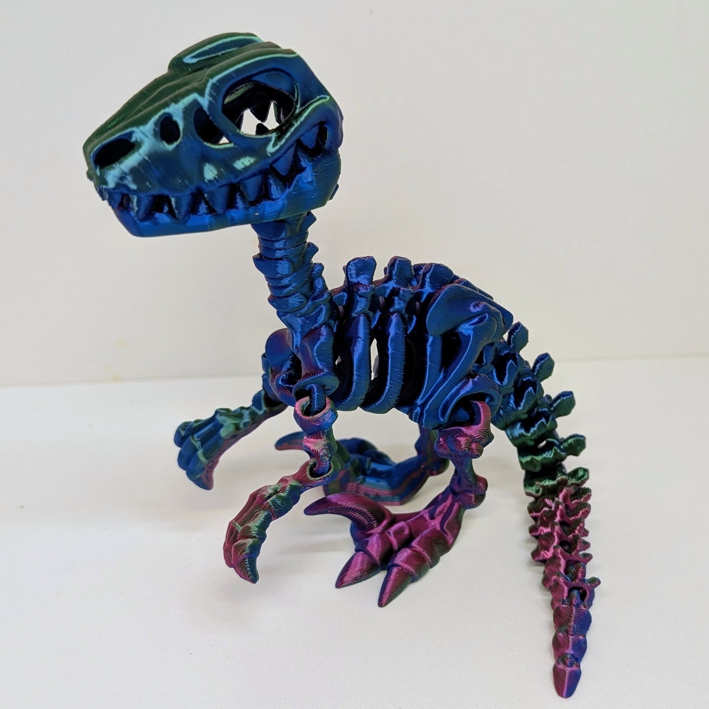 Raptor