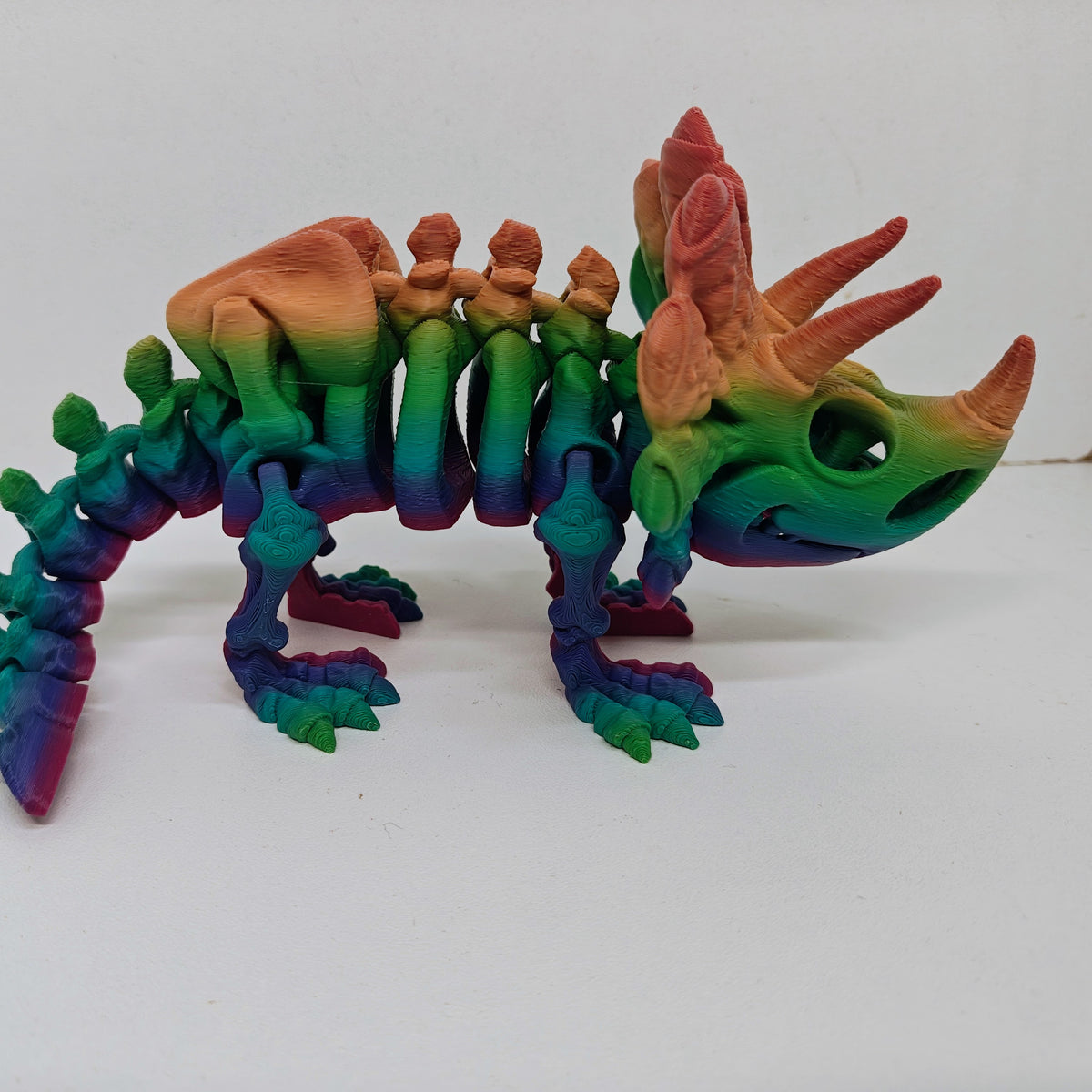 Triceratops
