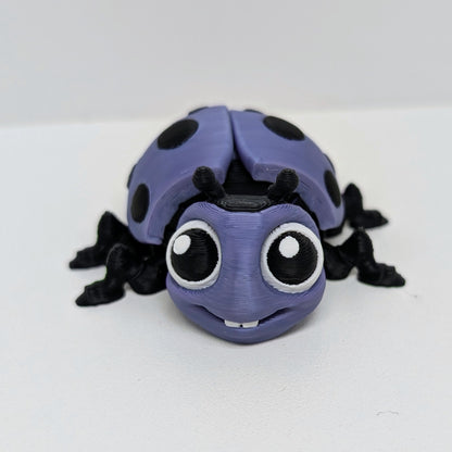 Ladybug