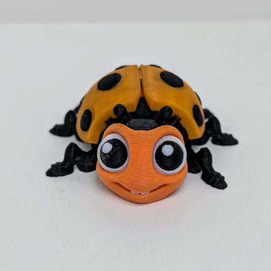 Ladybug