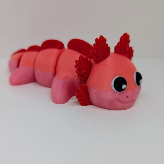 Axolotl