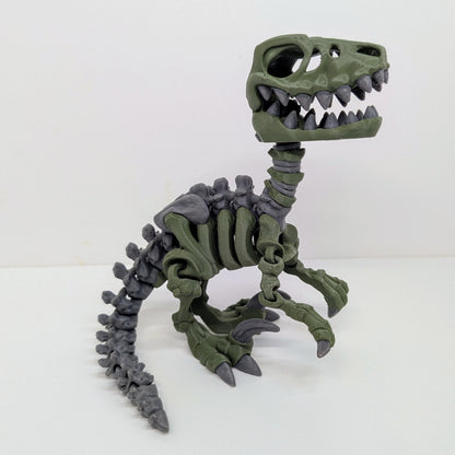 Raptor