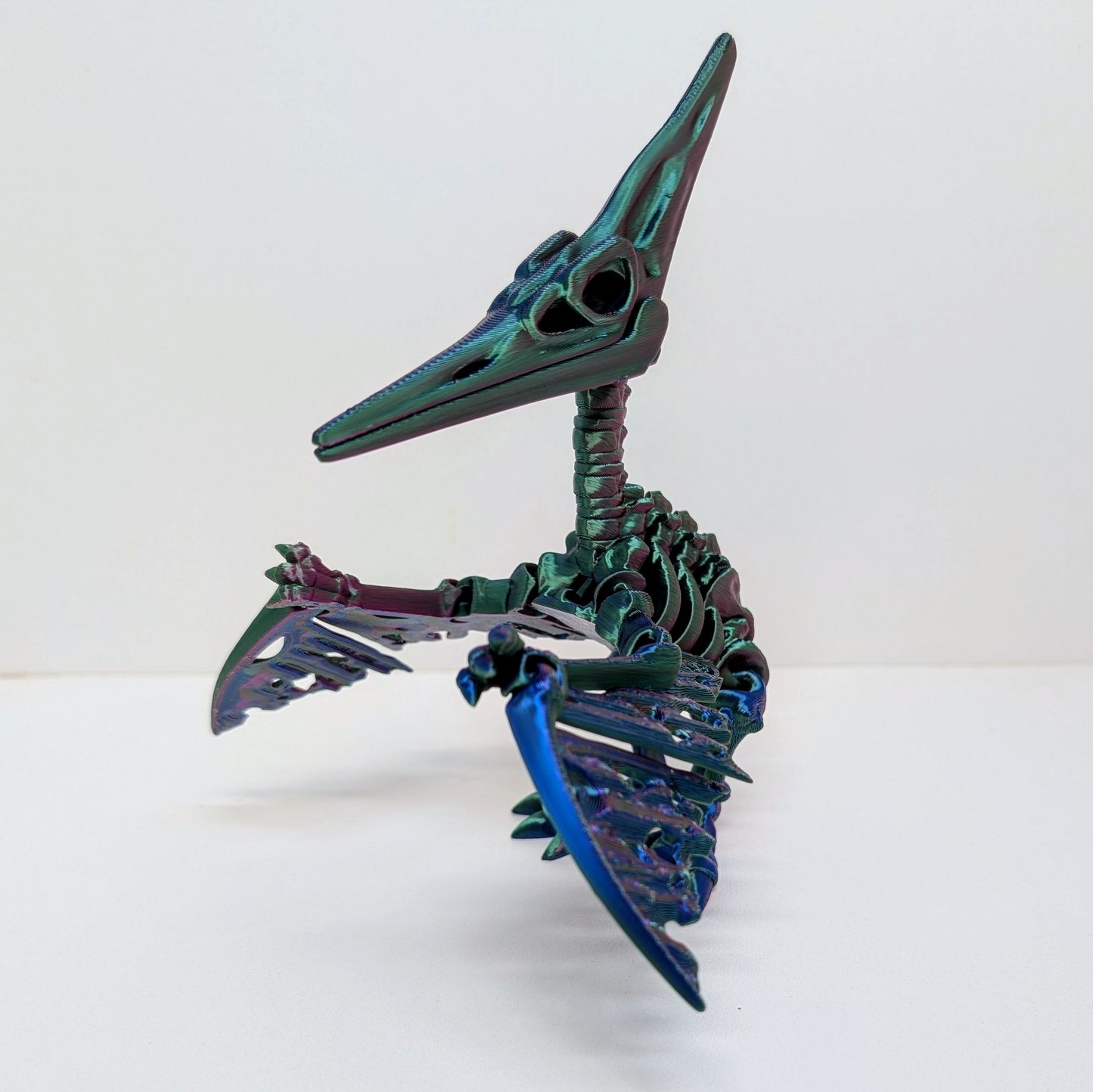 Pteranodon